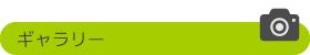 ギャラリー